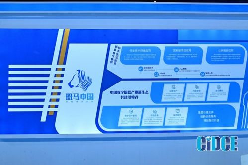 斑馬中國(guó) 助力VJ師網(wǎng)版權(quán)資源交易變現(xiàn)，引領(lǐng)數(shù)字文化創(chuàng)意軟件開(kāi)發(fā)新潮流